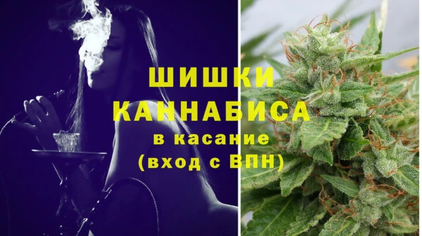 винт Коряжма