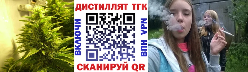 Купить где  Снежногорск  ТГК концентрат 