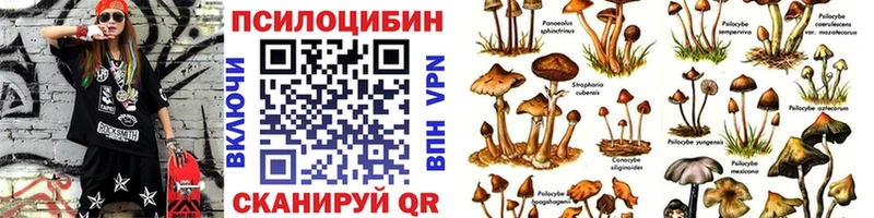 Псилоцибиновые грибы прущие грибы  Купить где  Снежногорск 